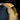 Legendary USA leather tumbling service showing black leather vest hanging on custom wooden break-in drum labeled Legendary Time Machine