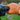 Open view of Legendary short wrist tan deerskin leather gloves, showing additional product detail