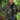 Rothco Vintage Lightweight M-65 Field Jacket - Legendary USA