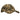 Rothco X Bear Archery Fred Bear Camo Low Profile Cap - Legendary USA
