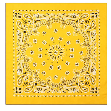 Trainmen Paisley Bandanas - 13 Colors To Choose From - Legendary USA