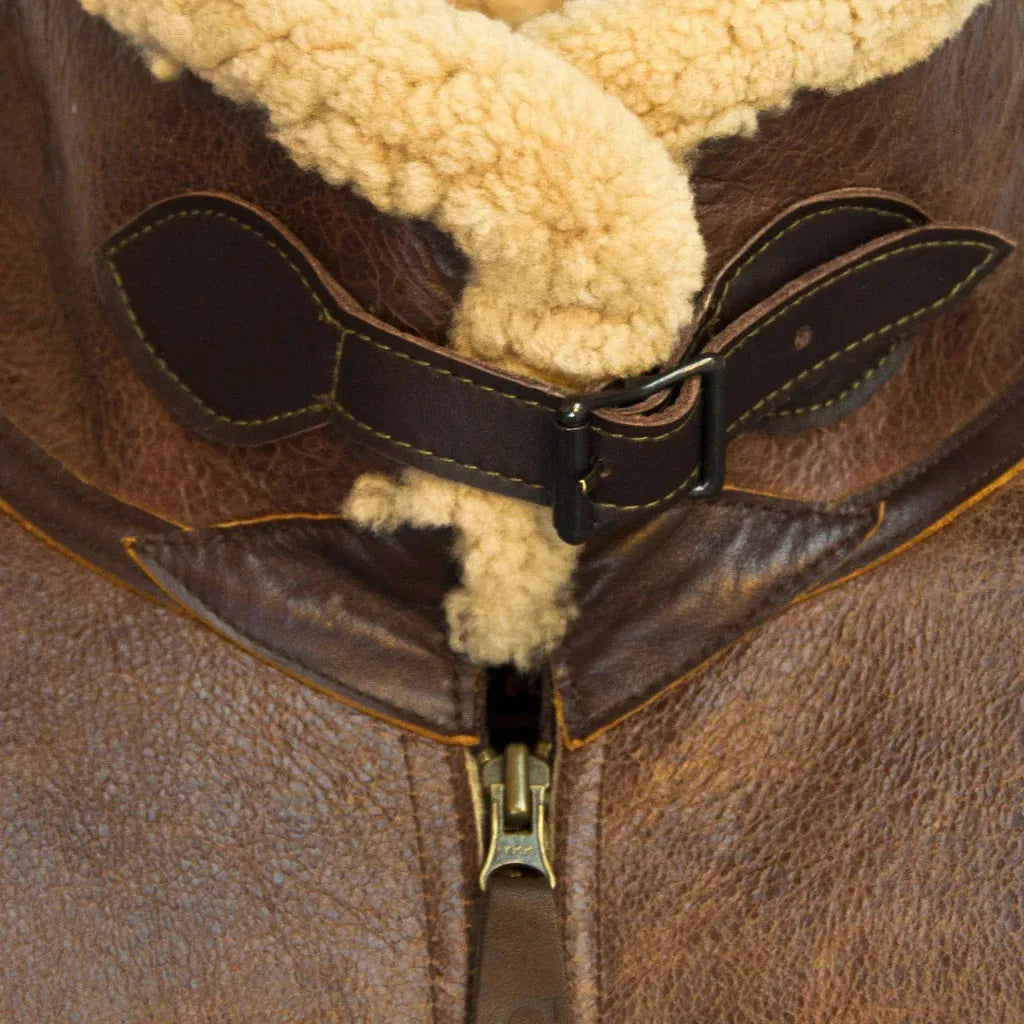Collar and throat latch strap