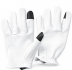 Front-facing shot of Legendary short wrist white deerskin gloves, shown on plain studio background