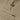 Men's Frontline Series Edge Tactical Pants in black, a fashion — view 24 of 31