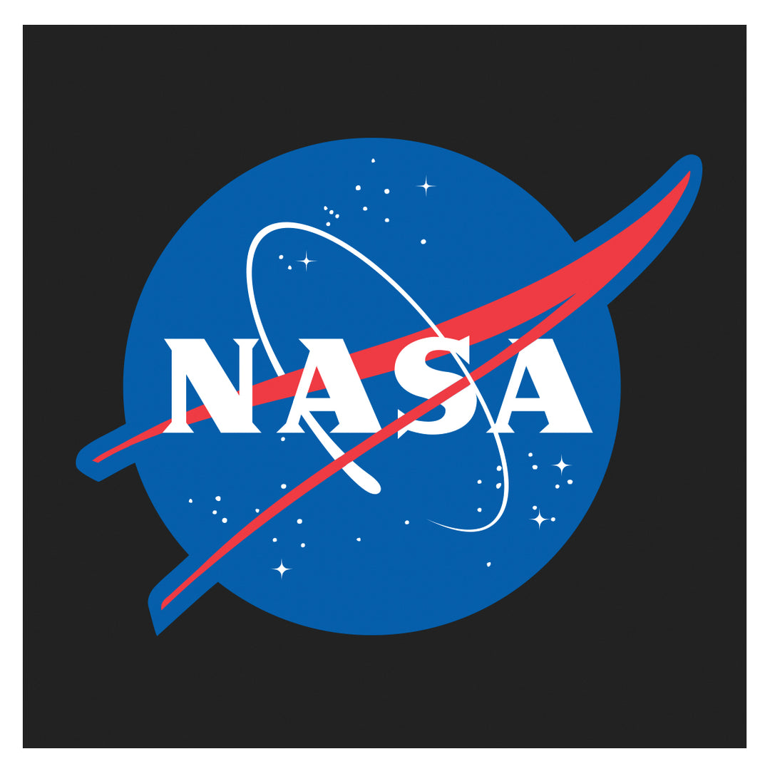 Mens NASA Meatball Logo Black T-Shirt